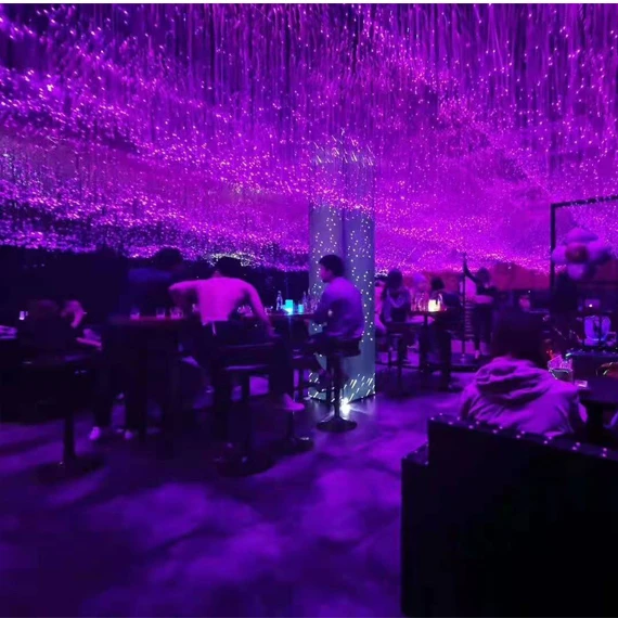 Custom Twinkle Residential Fiber Optical Starry Sky Lighting