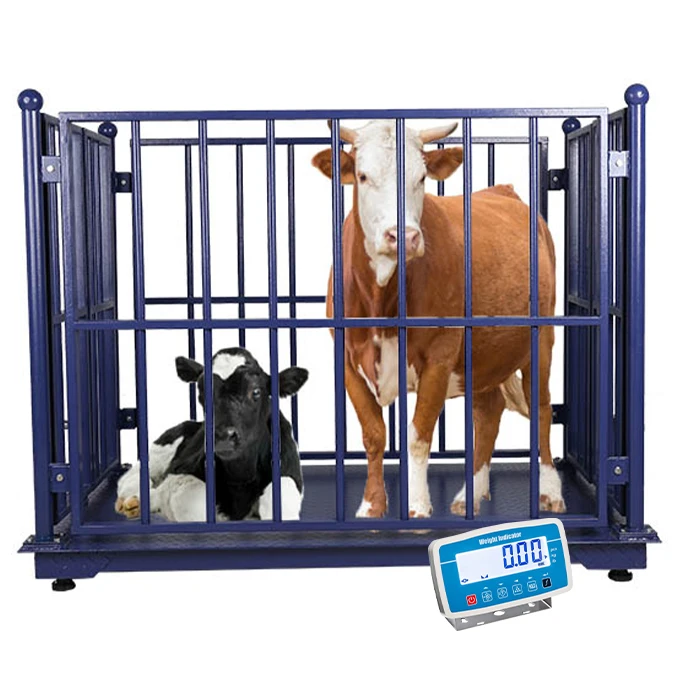 Livestock Scale Manufacturer Portable Livestock Supplier for Weighing Sheep Goat Weighing Cattle Scale