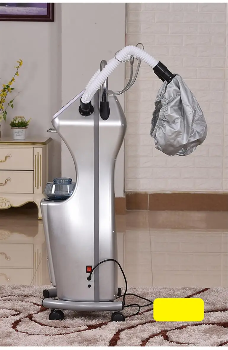 Ultrasonic Ozone Micro-Mist Hair Steamer Professional Hair Steamer