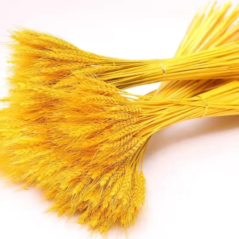 Dried Flowers Natural Wheat Straw Colorful Simulation Flower for Home Dining Art Wedding