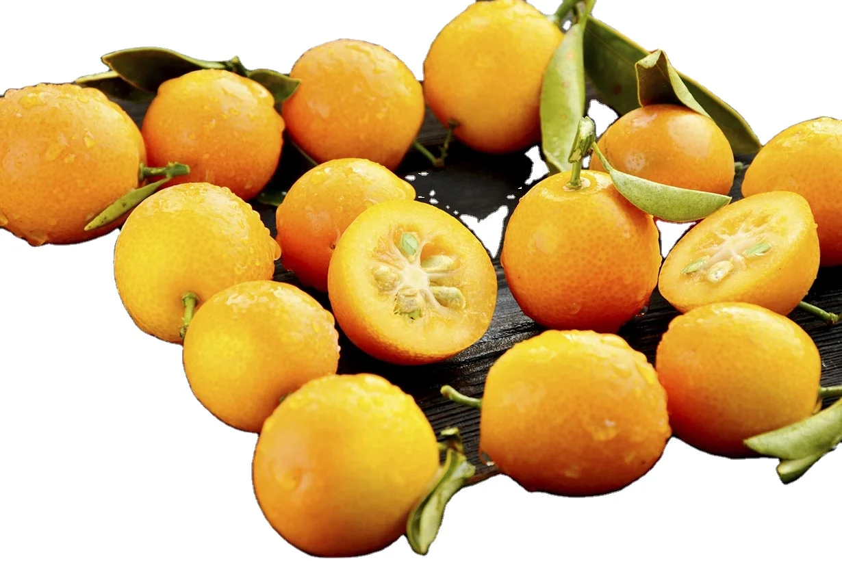 100% Pure Kumquat Lemon Juice For Bulk Calamansi Juice Concentrate