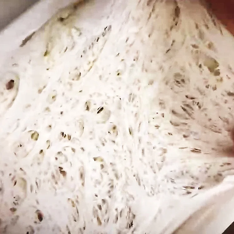 For Perfectly Soft and Fluffy Pita Bread Made of Dry Yeast, Select Our Yeastrue Instant Dry Yeast, beer yeast, wine yeast