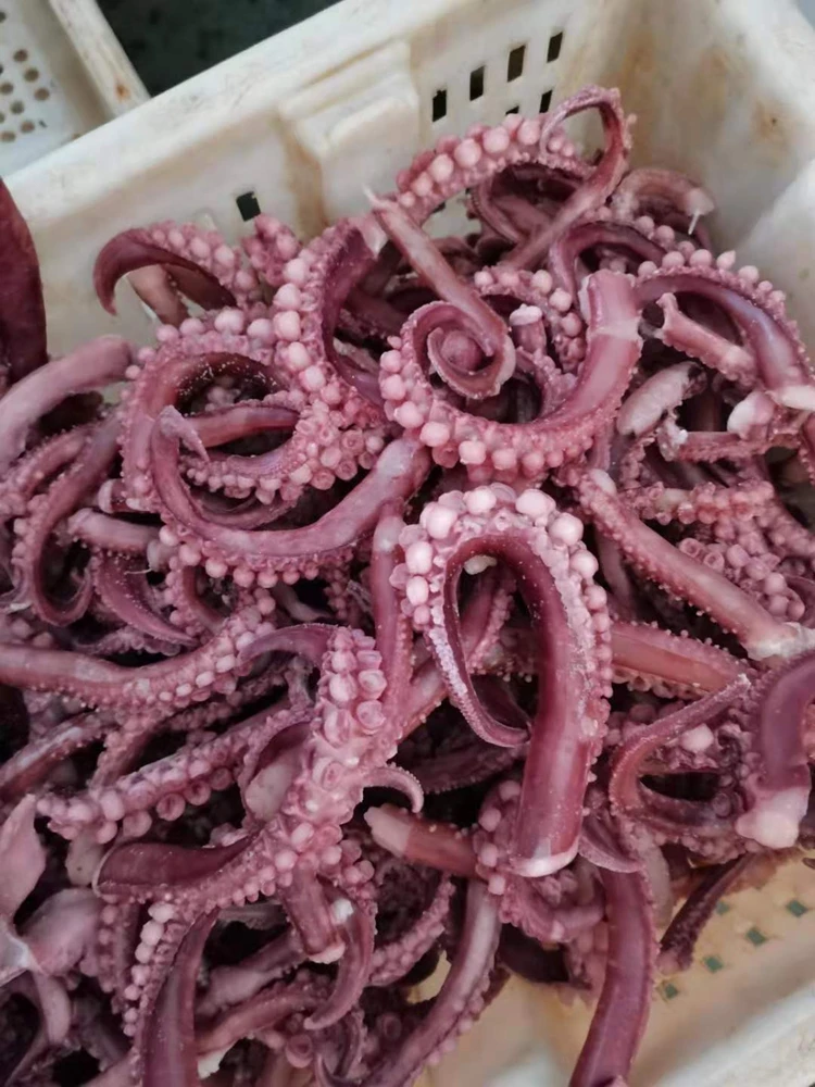 Factory Supply Attractive Price Frozen Squid Tentacle Dice Seafood Importer squid snack seafood china