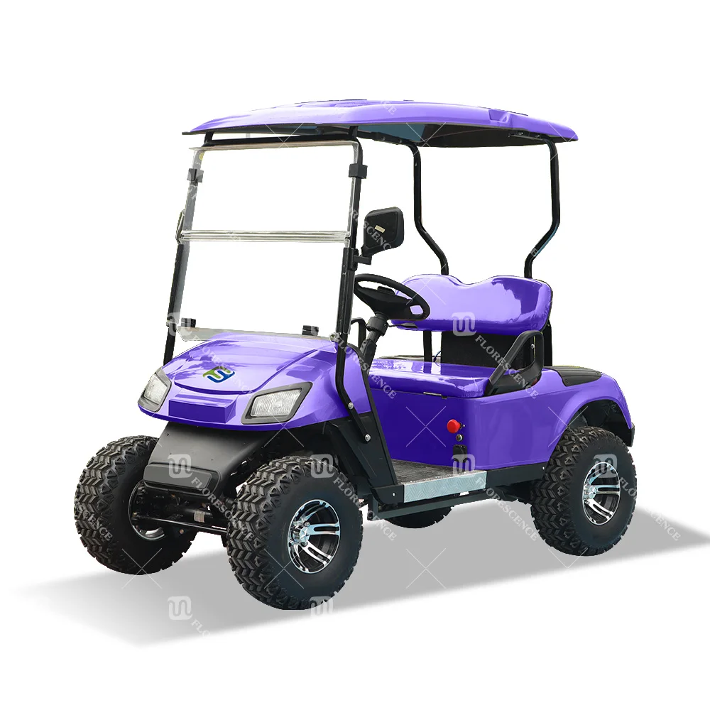 2023 New Model  Style for Factory 2 Seat Sightseeing Bus Club Cart Electric Golf Buggy Hunting Cart