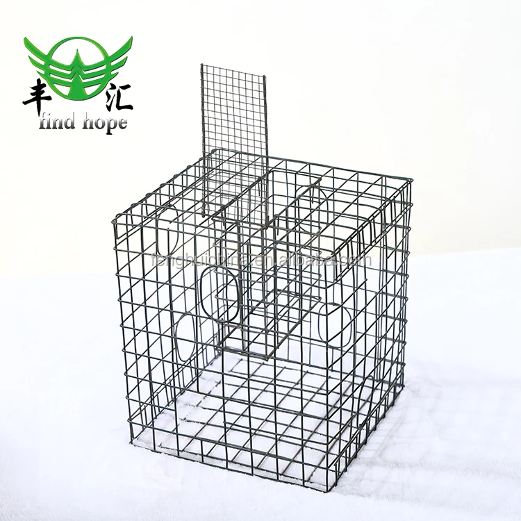 wholesale reptile round fixed heat protection shield light cage mesh lamp holder to avoid scald