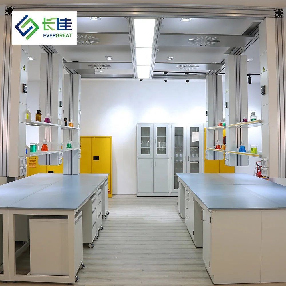 New Arrival Microbiology Laboratory Equipment Laboratory Furniture Work Bench Science Lab