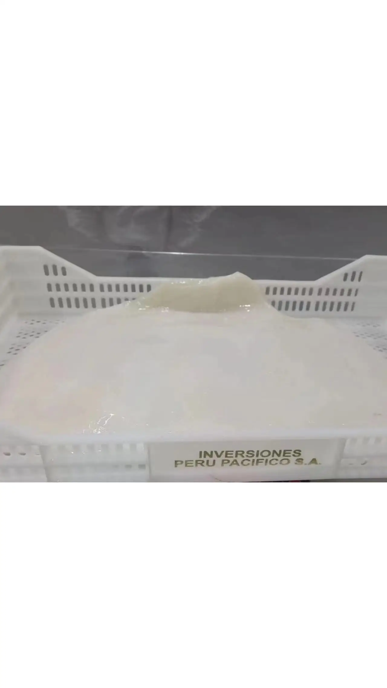 FROZEN GIANT SQUID FILLET