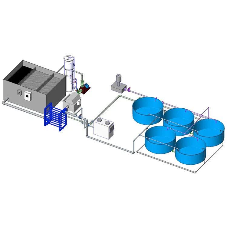 Customized Recirculating Aquaculture Systems Indoor Aquaculture Equipment Fish Farming System Ras In Aquaculture