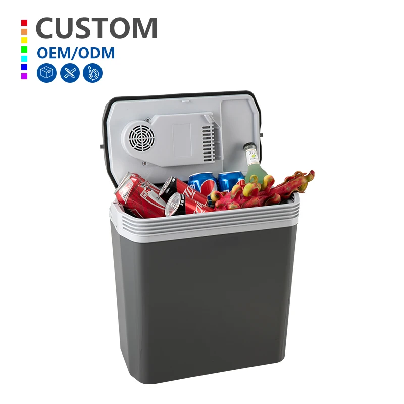 24L 12V/24/ DC/AC mini fridge cooler car fridge