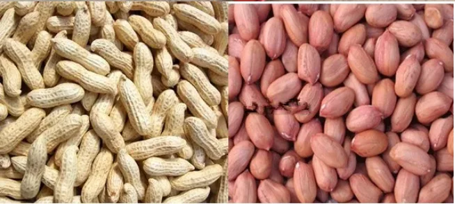Factory Supply Peanut Sheller Machine Diesel Groundnut Shelling Machine Peanut Husker With Cheap Price