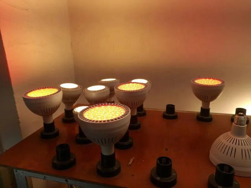 Super bright 60w led par38 fitting lamps narrow wide beam dimmable par38 spotlights led par38 pool light