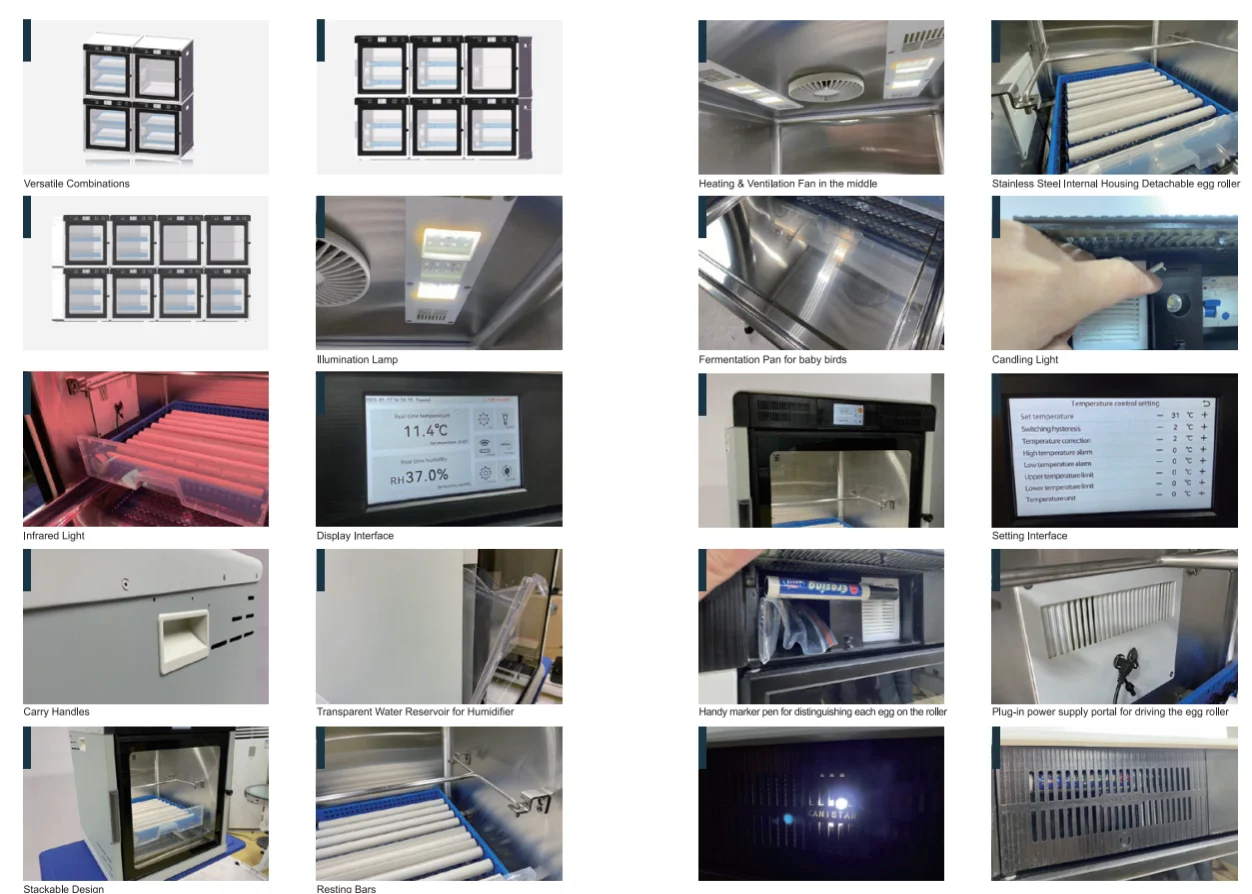 Bird Brooder Best Price for Eggs Hatch Intelligent Multi-Purpose Incubation Equipment Parrot Incubator for Sale