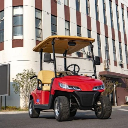 Leroad  high quality electric customized 2 passenger golf club cart for sale