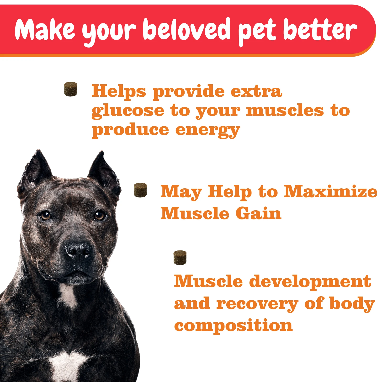Build Muscle Soft Chews Supplement supports High Protein Gain Growth And Weight - Boost Energy For Pet Dog