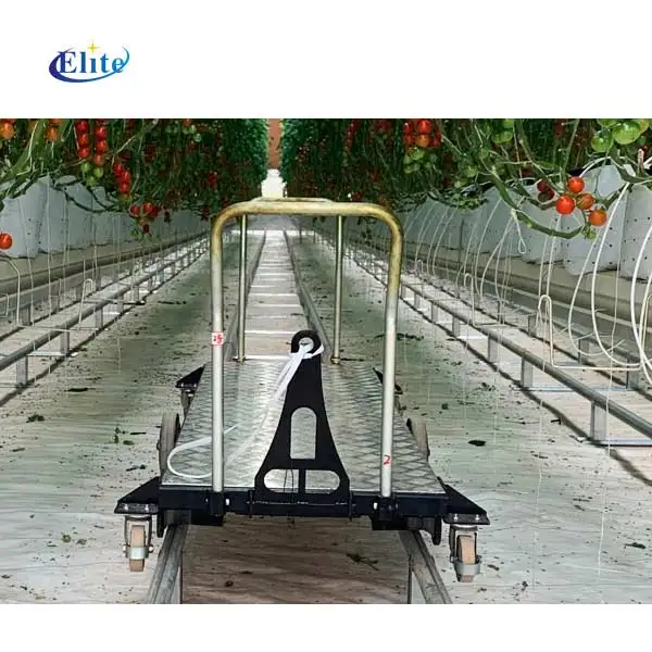 Single-layer harvest trolley for tomato picking simple tool cart pipe rail transport tools for greenhouse