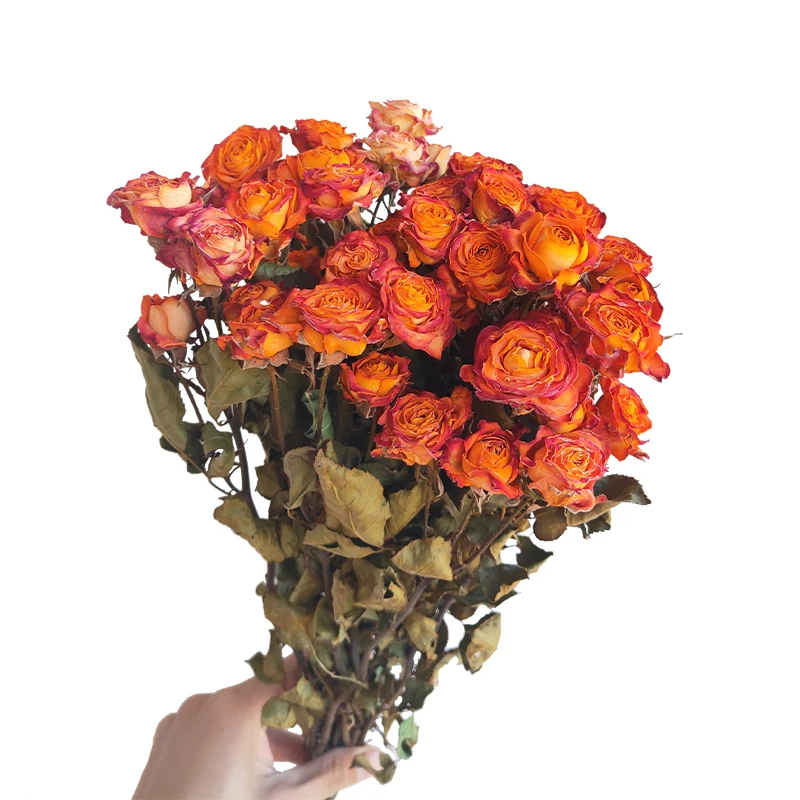 
ins style popular dried roses for wedding decoration 