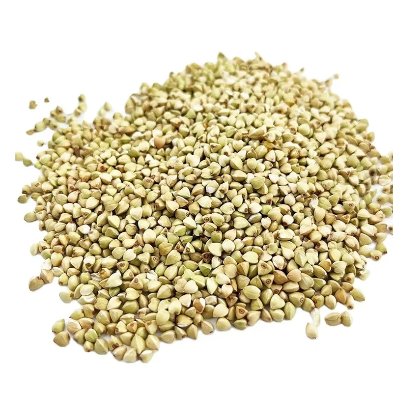 HongDa Hot Sale cheap buckwheat price buckwheat hulls green buckwheat