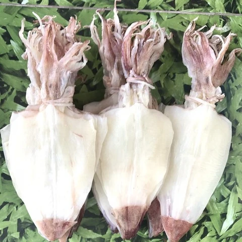 
frozen Dried baby squid, best price 