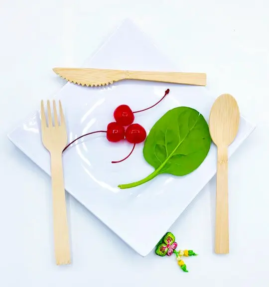 Customized packing Eco-friendly Compostable Disposable Spoon fork 170mm Bamboo Cutlery Set