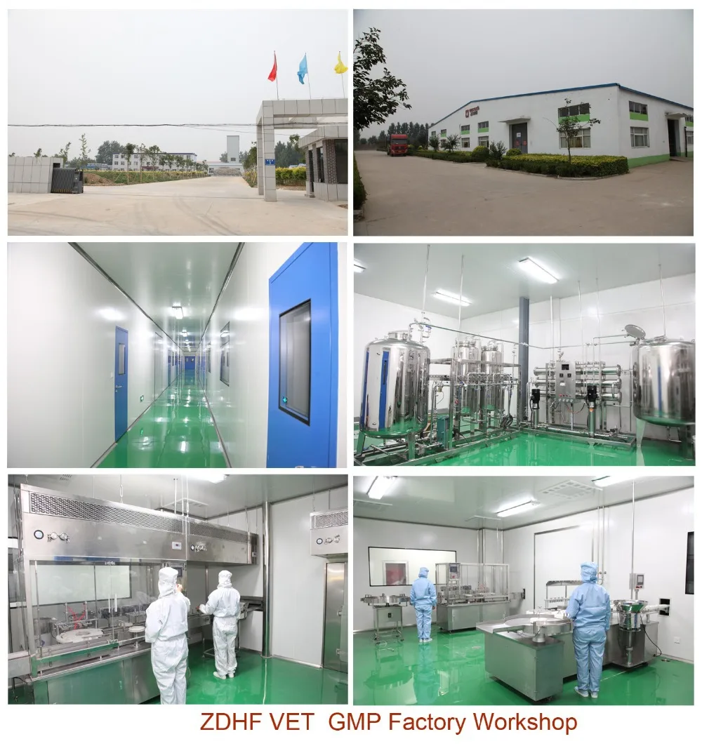 
cold and flu medicine for poultry flu symptoms and reduce the virus activity 