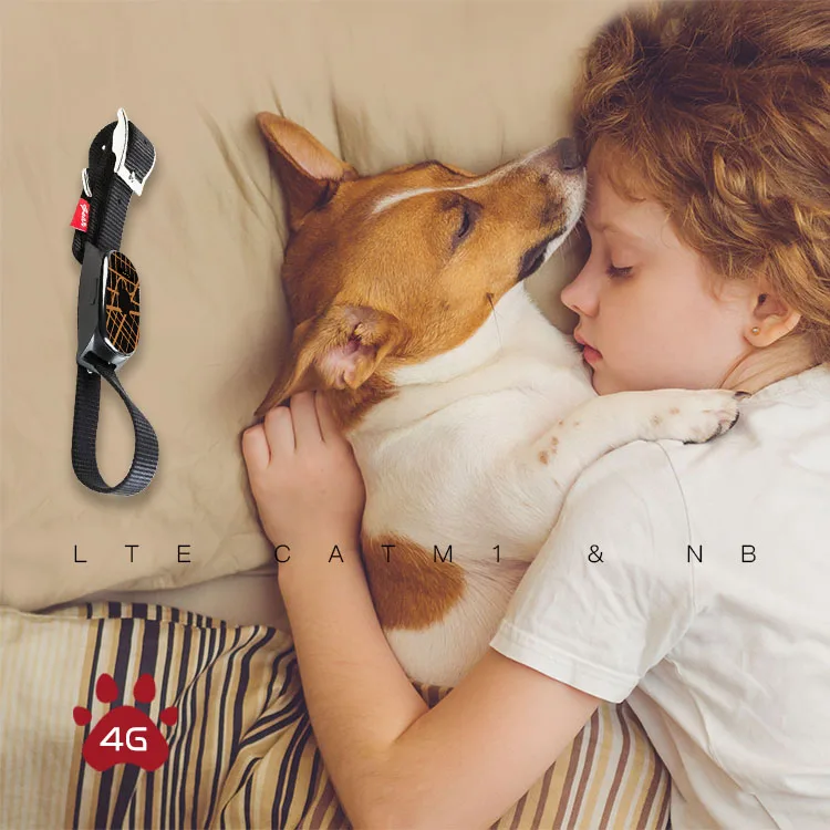 EVIEW Wholesale Pet Collar GEO Fence 4G NBIOT GPS Tracker Dogs