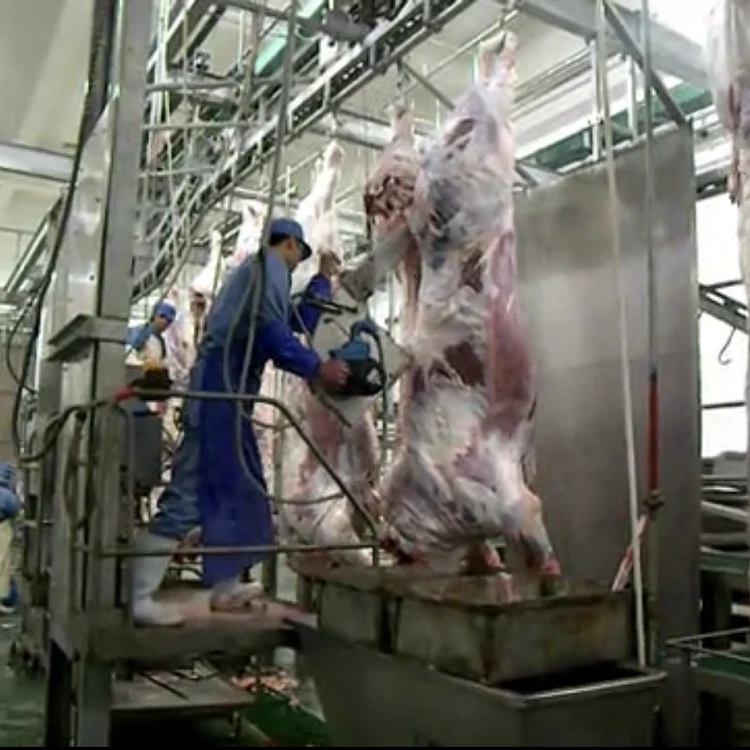 Оборудование для убоя пила разделения каркаса крупного рогатого скота ленточная инвентарь