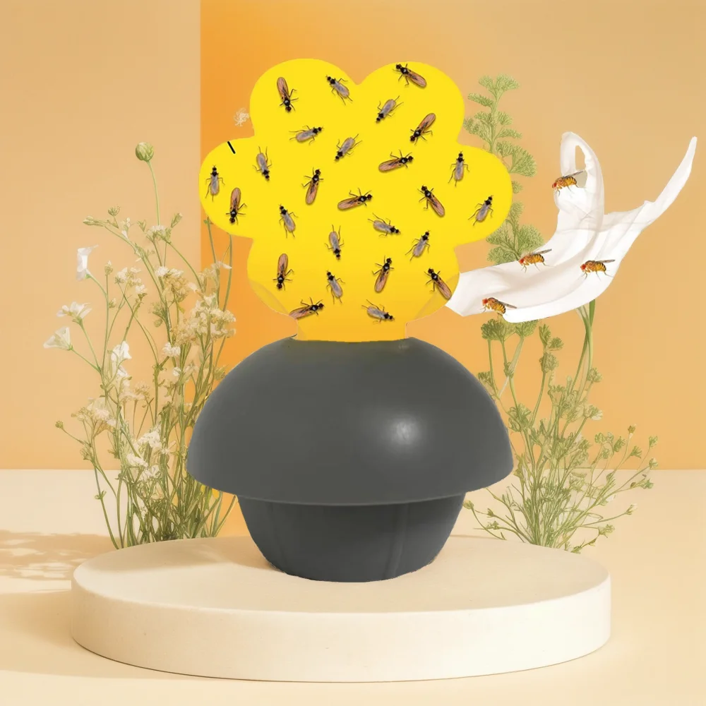 Indoor and outdoor use fruit fly trap
