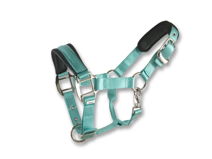  Horse Accessories Wholesale High Quality Halter Padding Manufacturer Custom Tedron