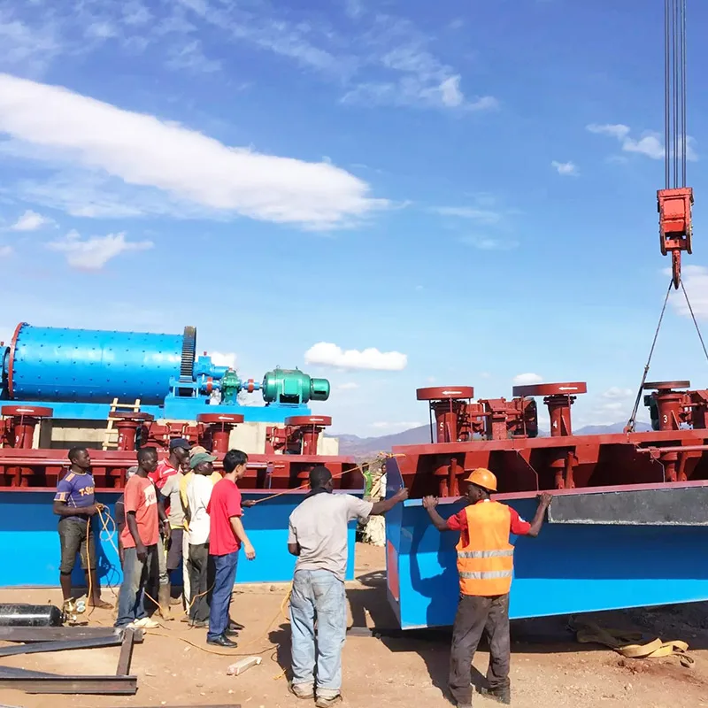 100TPD Mineral Processing Fluorite Ore Flotation Process Equipment Silver Mining Bebeficiation Plant Machine
