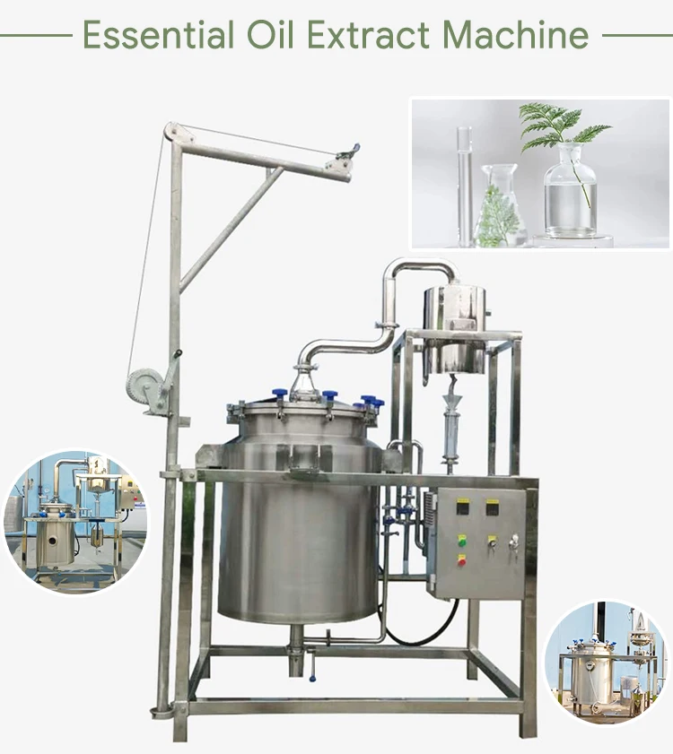 Cold Ethanol Low Temperature Oil Plant Extractor Coconut Oil Extracting Machine Flax Seed Rapeseed Oil Press Machine