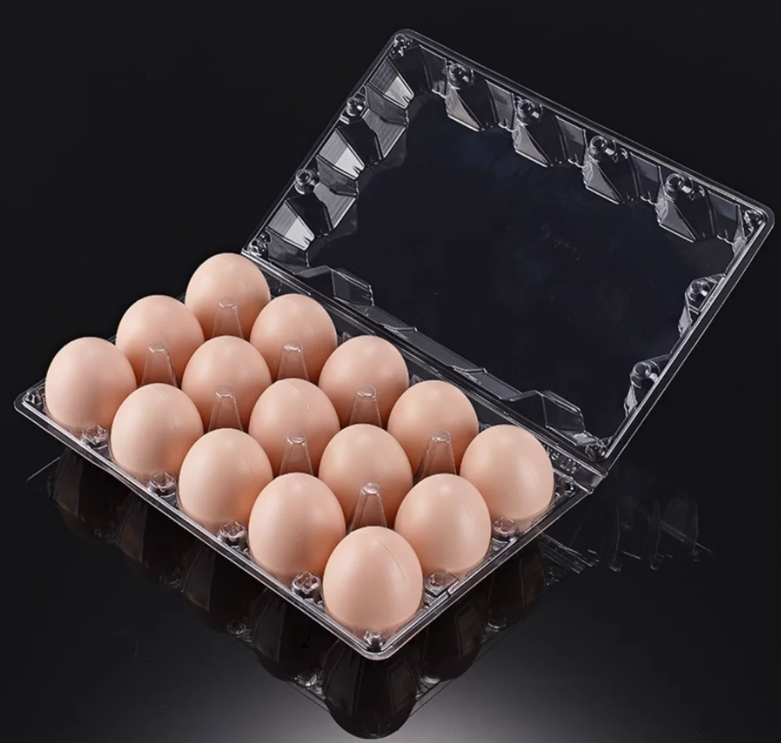 Plastic Packing Tray For Eggs 4/6/8/10/12/15/20 holes PET Blister Goose Chicken Eggs Tray With Lid