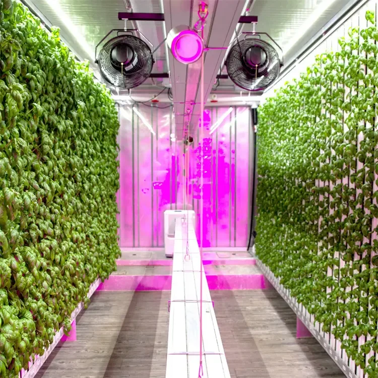 Agricultural greenhouses solar grass hydroponic system container greenhouse form shipping container farm