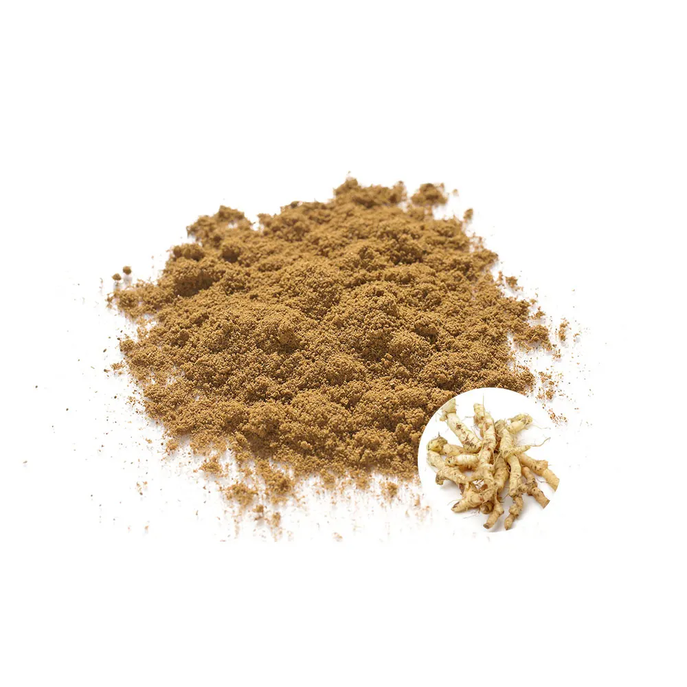 Pure Solomonseal Rhizome Promote Digestion Herbal Extract Solomonseal Rhizome Powder