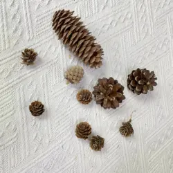 natural wood real pine cone christmas tree decoration hanging tree