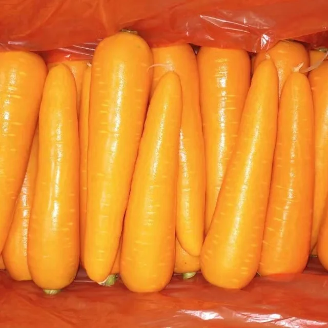 4kg China Fresh Carrot Export Oman  80-150g