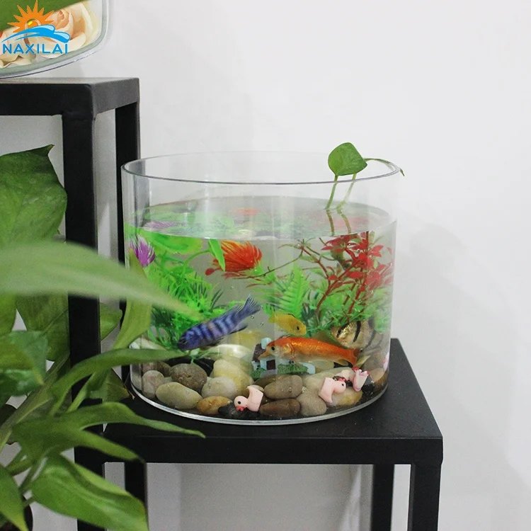 NAXIALI Acrylic Tank Mini Aquariums Acrylic New Design Aquarium Live Goldfish Aquarium Fish