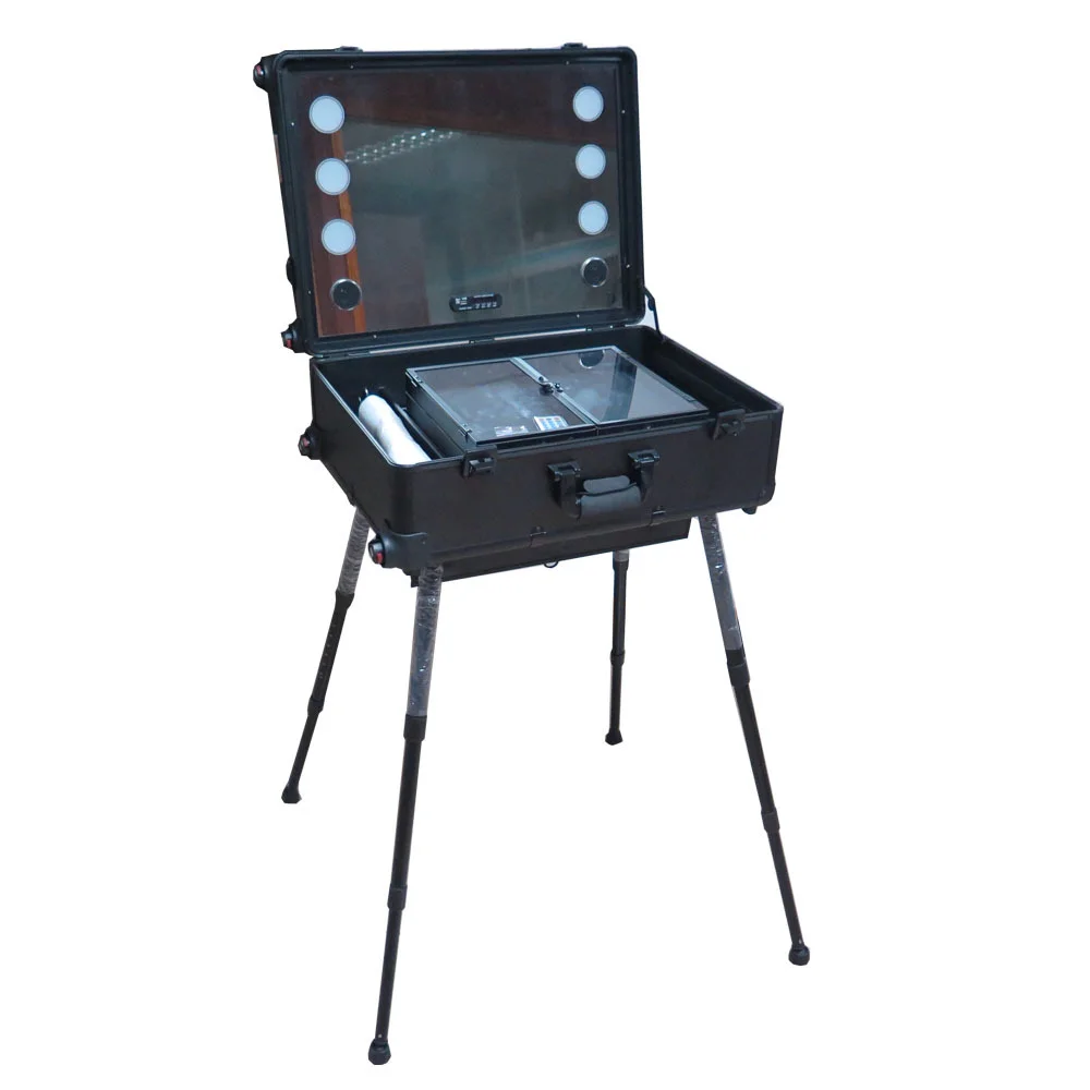 2022 New Hot Sale Make Up Cosmetic Box Train Trolley Case Metal Case Packaging with Handle