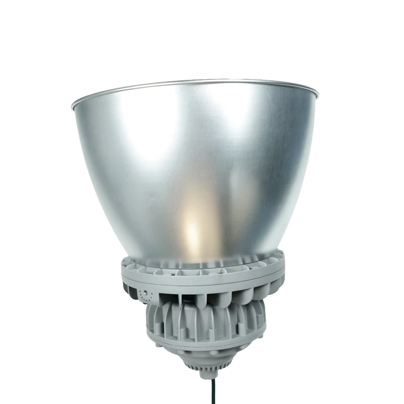 Led Atex Waterproof Explosive Proof Tri-Proof IP66 Hot Sale Flood Lights Explosion Proof Lamp for Hazardous Place