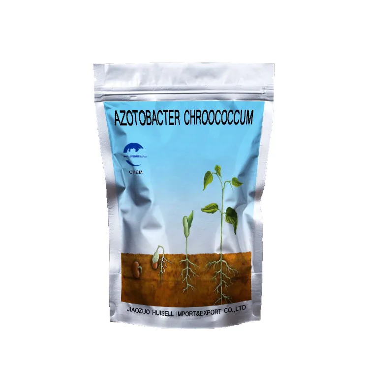 high quality bio fertilizer Azotobacter chroococcum factory price
