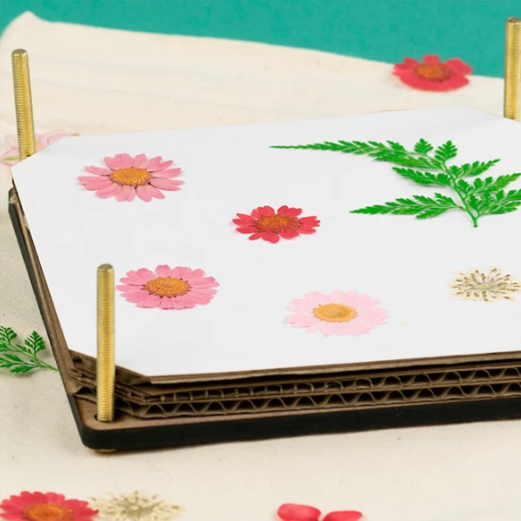 Customized Solid Wood Flower Press 15cm Eco-Friendly Gift Flower Pressing Wooden Flower Press