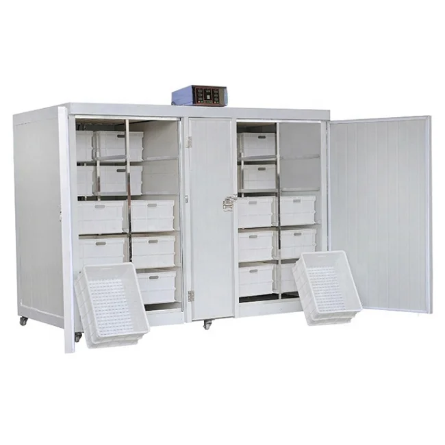 High quality best selling mung bean sprout machinery