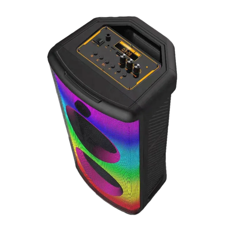 Double 6.5 Inch Karaoke Party Dj Speaker With Display Screen And Two Wireless Mic