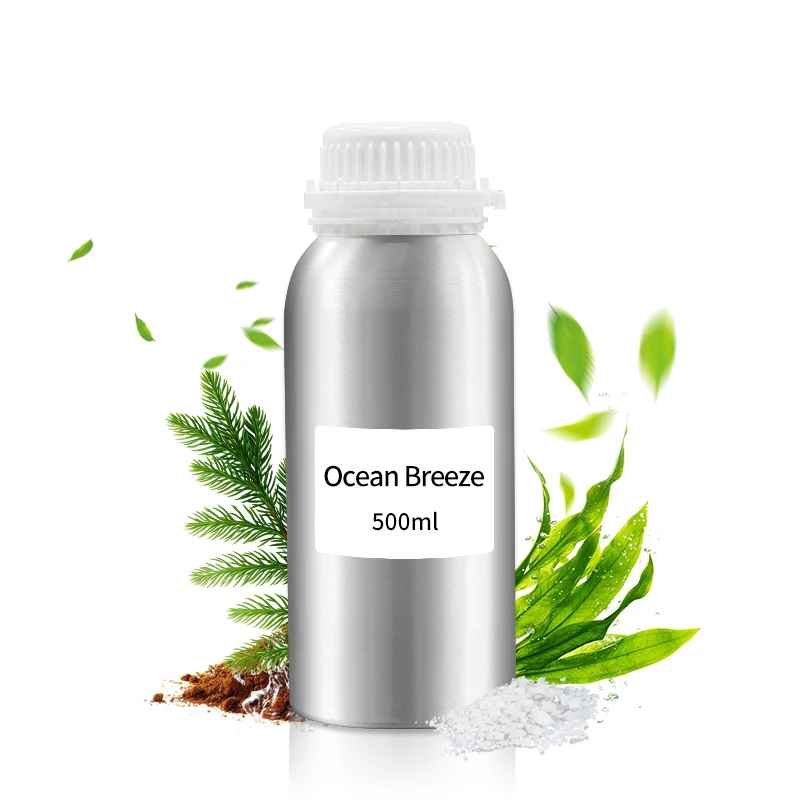 Various Aroma Fragrance Oil Aroma Diffuser Hotel Lobby 500ML My Way Waterless Essential Oil Perfume For Diffuser