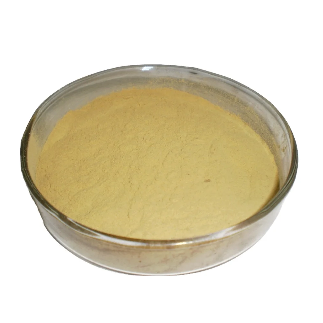 Hot selling Wheat Gluten Price 82% Food Grade Additive