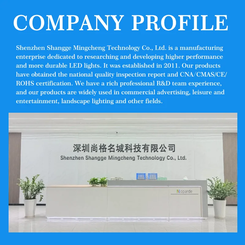 Пользовательская реклама Pdd20W статический светодиодный логотип водонепроницаемый уличный проектор