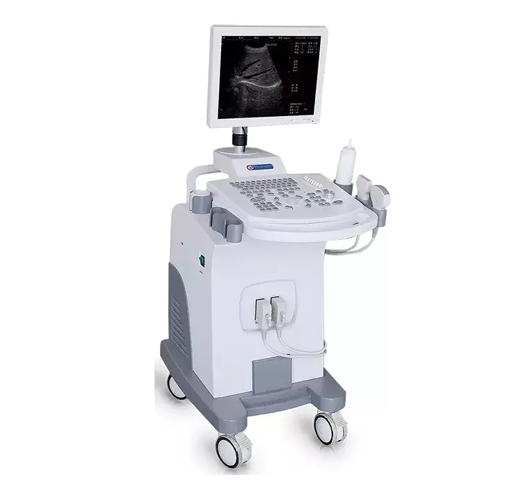 Digital Ultrasonic Diagnostic System Abdominal Buy Ultrasound Machines Hospital Echo Ultrasound Scanners