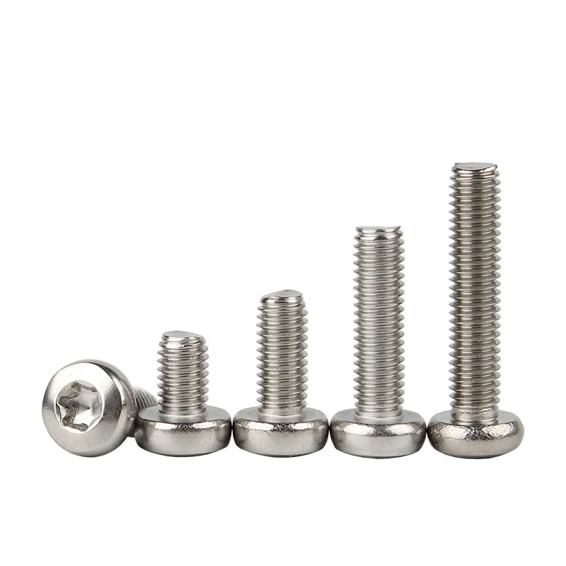 Pan Head Torx Screws (SUS 304)