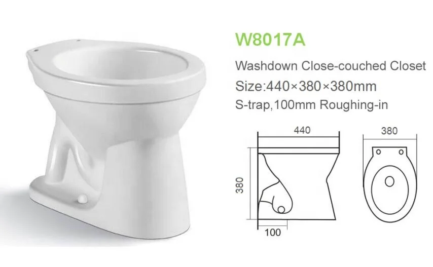 Bathroom washdown two piece toilet without water tank