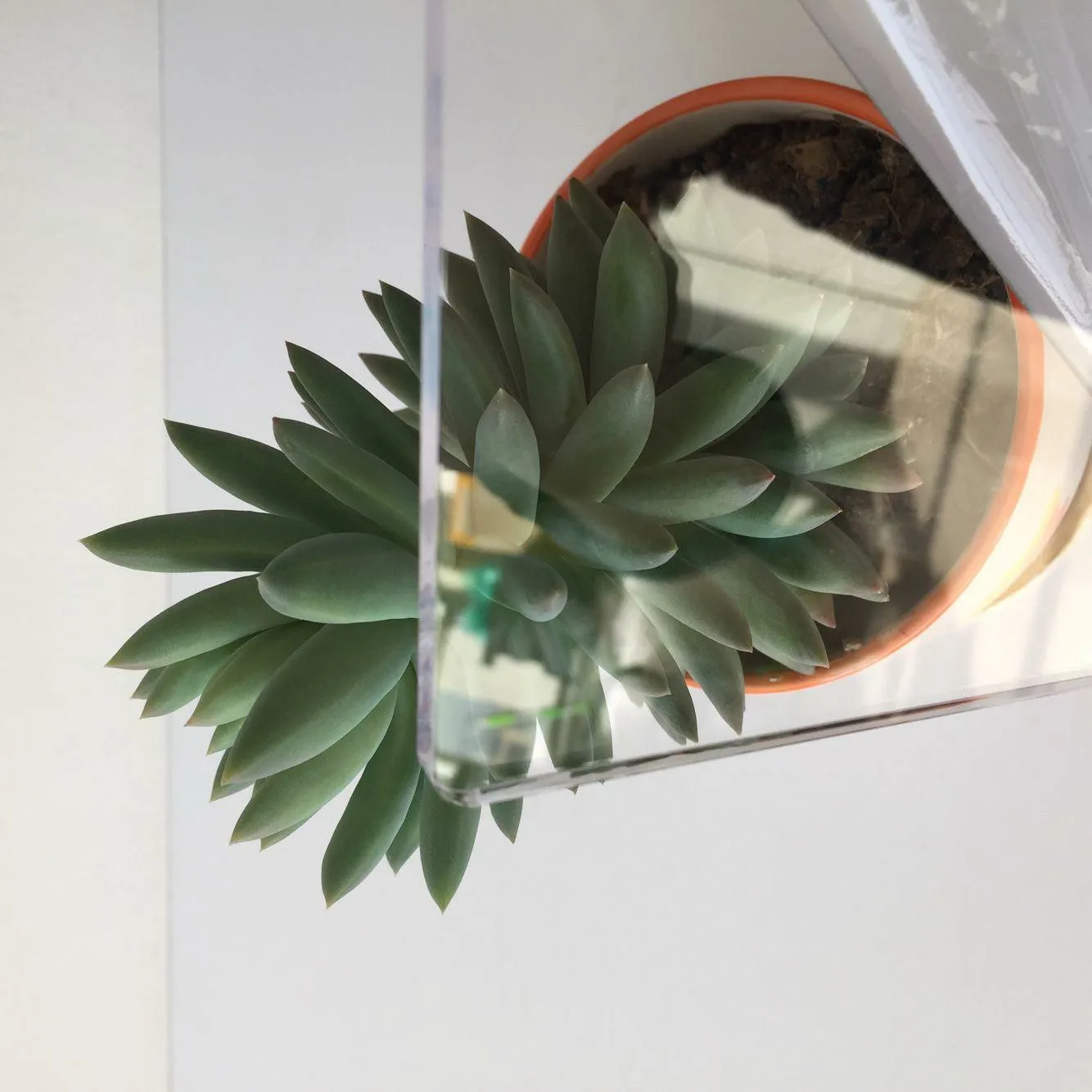 2022 factory price supply High quality clear 100% virgin materials 4*8ft  4.5mm  glass acrylic sheet