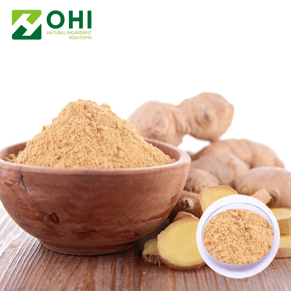 nature Extract ginger powder / organic ginger powder Zingiber officinale 1%-50% Gingerols